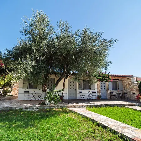 Janakis Garden Livadi